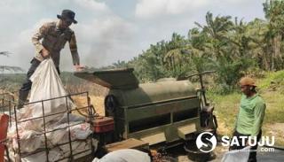 Bukti Polri Dukung Ketahanan Pangan: Panen Jagung Polres Bengkalis di Mandau 3 Hektare Siap Dipasarkan